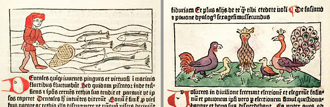 Dialogus-creaturarum-moralisatus-Sverige-1483-2. a